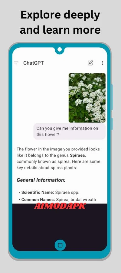 you can explore things more deeply using chatgpt