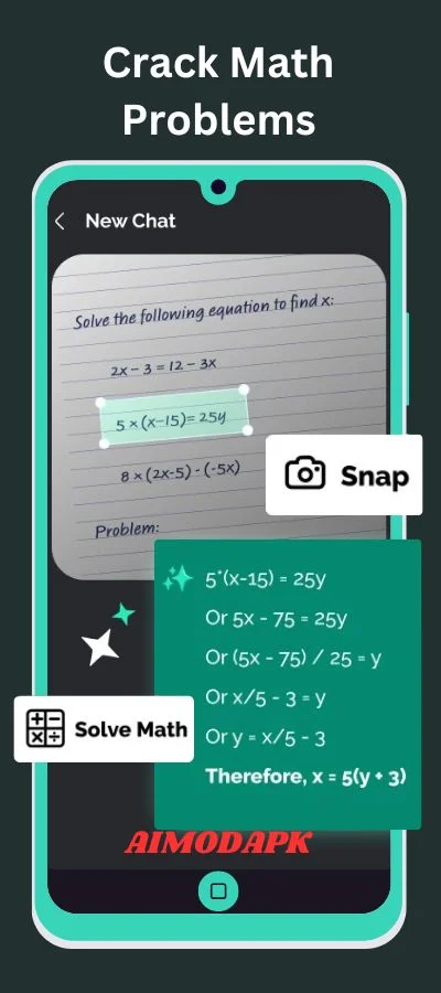 Crack Math related Problem.