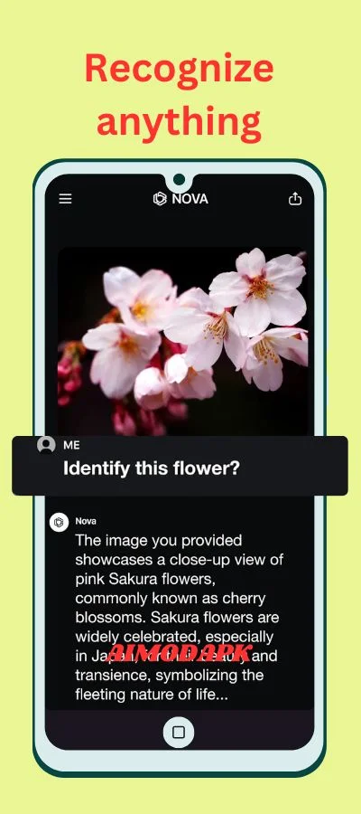 Nova ai premium features included such as image reading an image.